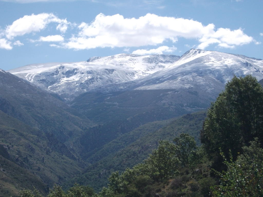 Apartamentos Sierra Nevada Welcome Cameră foto